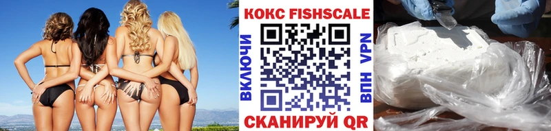 КОКАИН Fish Scale  МЕГА сайт  Ярославль 