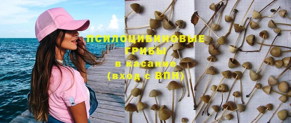 mdpv Алзамай