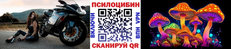 Псилоцибиновые грибы Cubensis  наркотики  Ярославль 