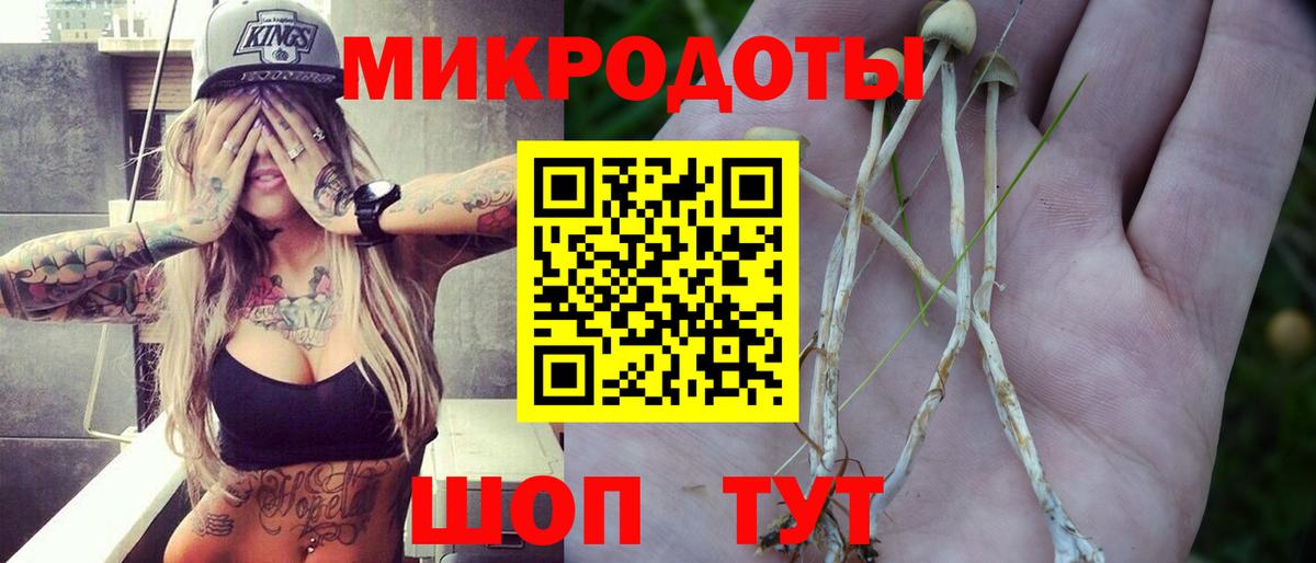 Галлюциногенные грибы прущие грибы Ярославль