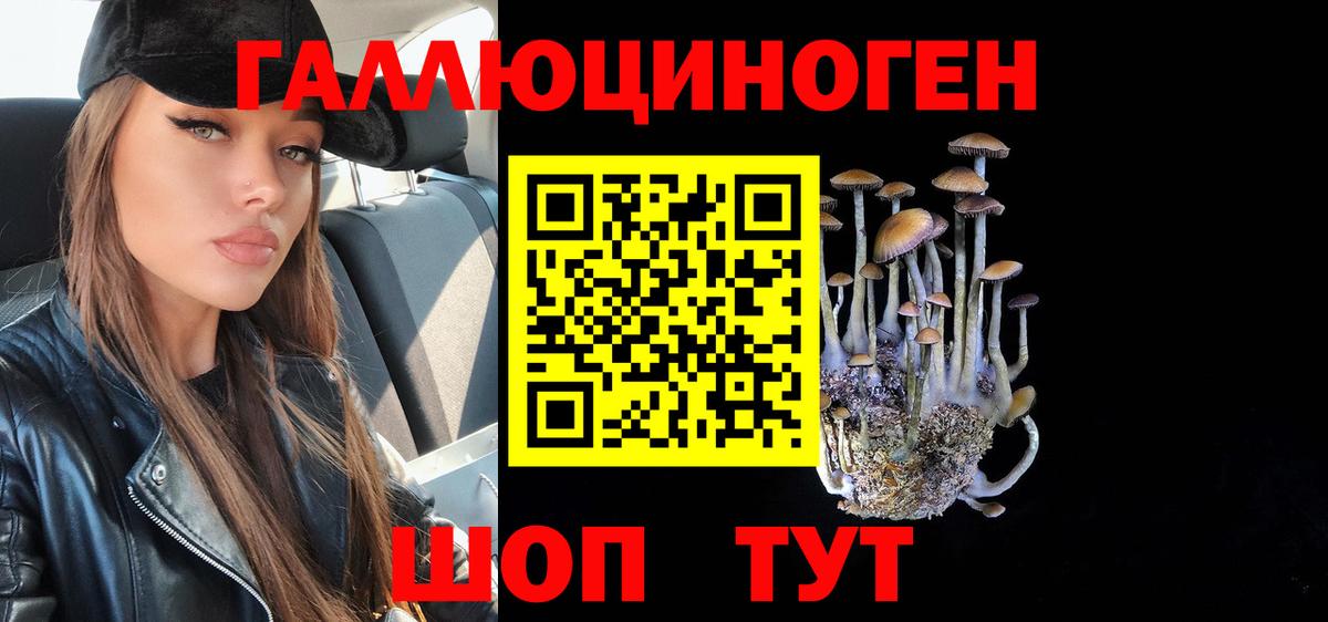 Ярославль  Псилоцибиновые грибы ЛСД  Псилоцибиновые грибы MAGIC MUSHROOMS  Вход с VPN 
